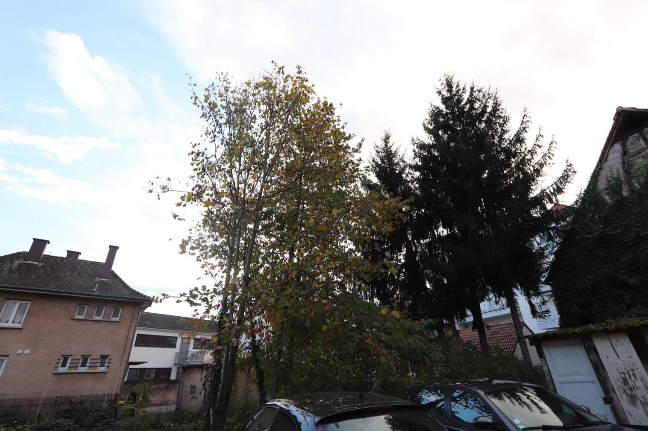 Homeday Cultivateur N°2 Appartement Type F3 Haguenau Exterior photo